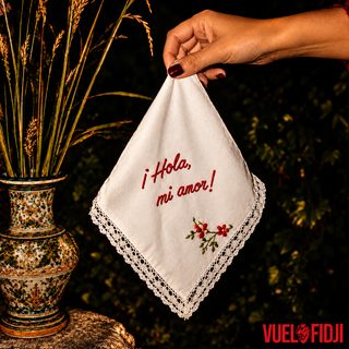 Portada de "¡Hola, mi amor!" de Vuelo Fidji